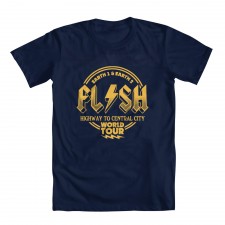 Flash World Tour